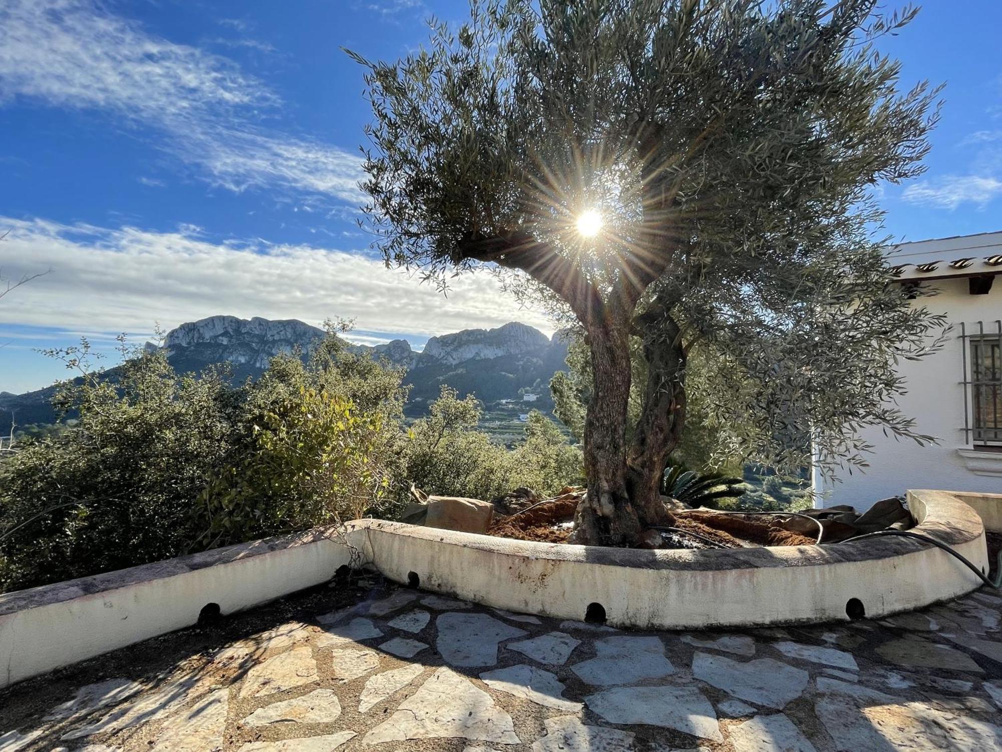 Villa Casa Dali Monte Pego Экстерьер фото